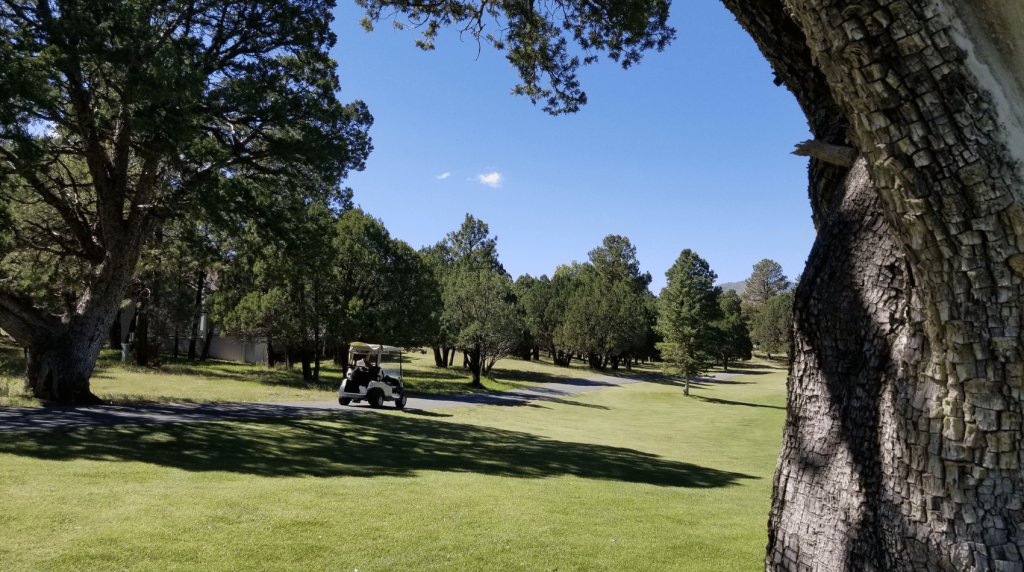 Golf Image